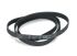 Ремінь 1181H8 EL  пральної машини ARISTON - INDESIT C00066521, 66521